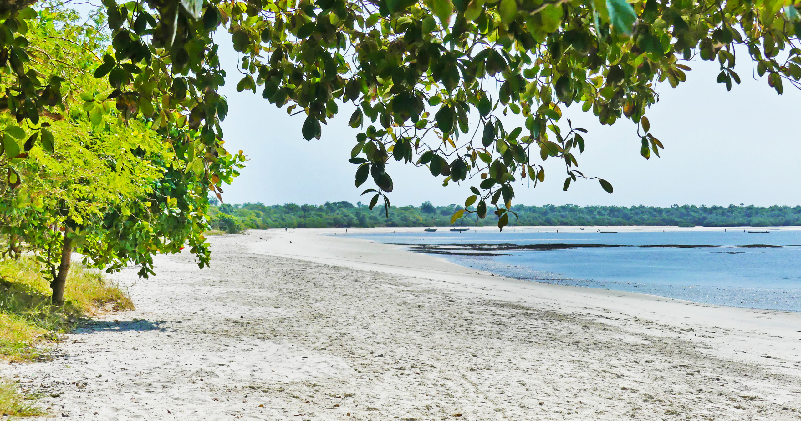 Poilão – Dia de Praia – Orango